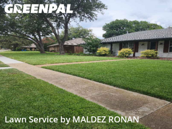 Lawn Cutin Richardson,75080,Yard Cutting by MALDEZ RONAN, work completed in Dec , 2025