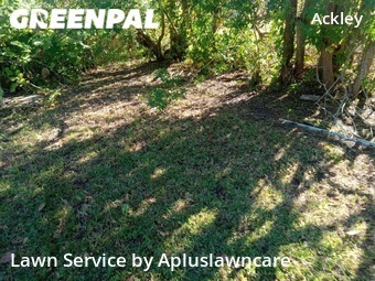 Yard Cutting nearby Cocoa, FL, 
