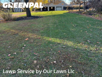 Grass Cutting in Cincinnati, 45212, Yard Management by Our Lawn Llc, work completed in Nov , 2025