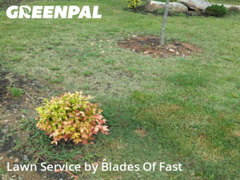 Yard Cutting nearby Atlanta, GA, 