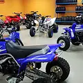 5 Star Small Engines 2