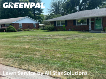 Grass Care in Collinsville, 62234, Garden Trimming by All Star Solutions, work completed in Nov , 2025