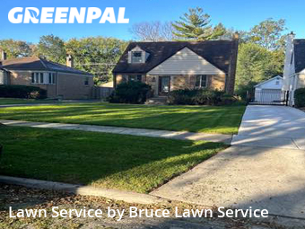 Yard Care in River Forest, 60305, Grass Cutting by Bruce Lawn Service, work completed in Dec , 2025