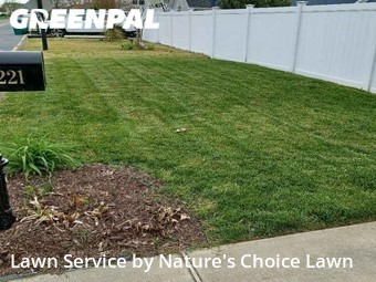 Lawn Mow nearby Virginia Beach, FL, 