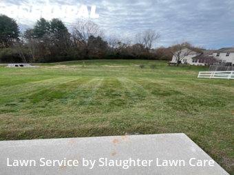 Lawn Maintenance nearby Powell, TN, 