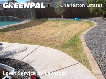 Yard Services in Queen Creek, 85142, Mowing Services by Lawnpal, work completed in Nov , 2025