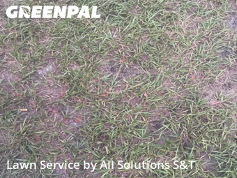 Lawn Care nearby Winter Haven, FL, 