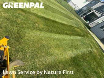 Lawn Mow nearby Fortville, IN, 