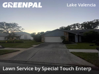 Grass Cutting nearby Palm Harbor, FL, 