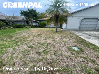 Lawn Mow nearby Tampa, FL, 