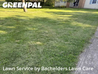 Lawn Cut nearby Mansfield, OH, 