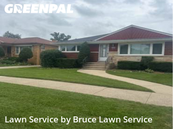 Yard Management in Westchester, 60154, Turf Services by Bruce Lawn Service, work completed in Nov , 2025