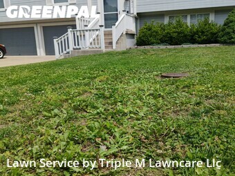 Lawn Mowing Service nearby Independence, MO, 