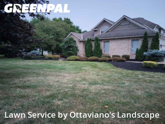 Grass Cut nearby Marion, OH, 