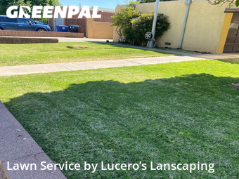 Lawn Cut nearby Albuquerque, NM, 