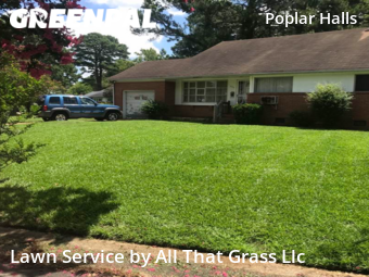Lawn Service nearby Norfolk, VA, 