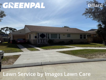 Grass Cutting nearby New Orleans, LA, 