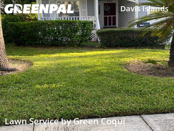 Lawn Maintenance nearby Tampa, FL, 
