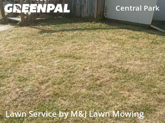 Yard Mowing nearby Buffalo, NY, 