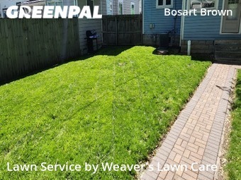 Lawn Cutting nearby Indianapolis, IN, 