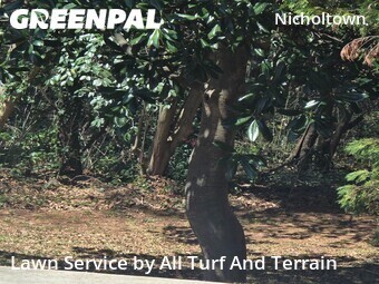 Lawn Mowing nearby Greenville, SC, 