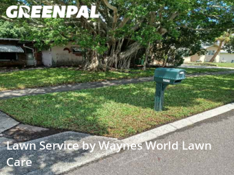 Lawn Cut nearby Seminole, FL, 