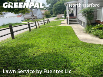Lawn Care Service nearby Parkville, MD, 