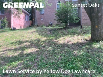 Lawn Care nearby Hermitage, TN, 