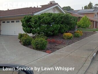 Lawn Maintenance nearby Foster City, CA, 
