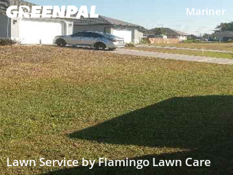 Grass Cutting in Cape Coral, 33993, Weekly Mowing by Flamingo Lawn Care, work completed in Dec , 2025