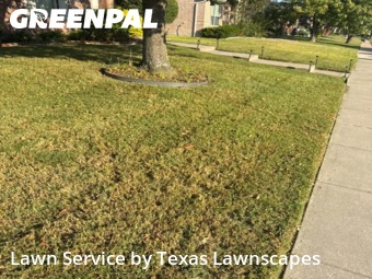 Grass Cuttingin Wylie,75098,Lawn Mowing Service by Texas Lawnscapes, work completed in Nov , 2025
