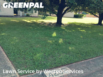 Lawn Mow nearby Bessemer, AL, 