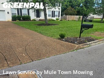 Lawn mowed in Spring Hill, 37174