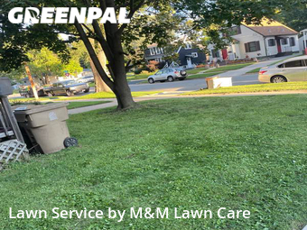 Yard Mowing nearby Madison, WI, 