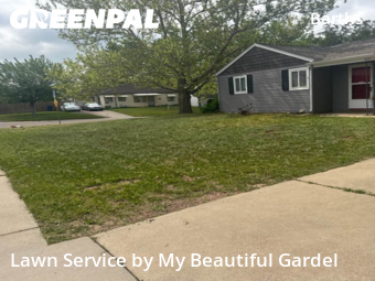 Yard Cutting nearby Wheat Ridge, CO, 