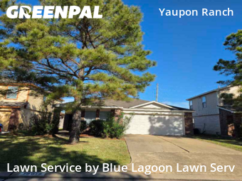 Yard Cuttingin Cypress,77433,Lawn Mowing Service by Blue Lagoon Lawn Serv, work completed in Feb , 2026