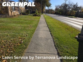 Grass Care in Wheaton, 60187, Lawn Maintenance by Terranova Landscape, work completed in Dec , 2025