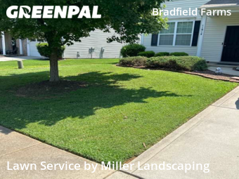 Lawn Cut nearby Charlotte, NC, 