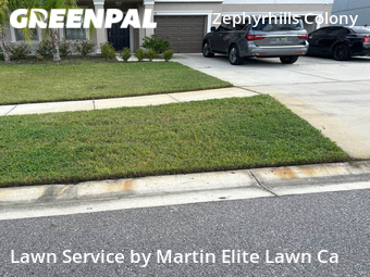 Grass Cut nearby Zephyrhills, FL, 