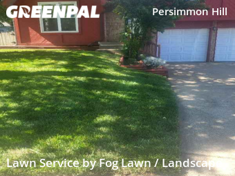Lawn Cut nearby Olathe, KS, 