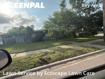 Backyard Landscaping In Corpus Christi,78412,Landscaping Services by Ecoscape Lawn Care, work completed in Jun , 2026