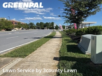 Lawn mowed in Hagerstown, 21742