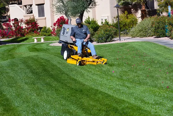 Craig's Power Equipment Photo 6