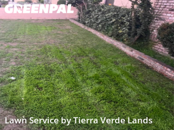 Work completed by grass-care-professionals-in-Lynwood-CA