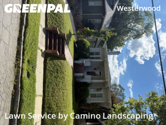 Lawn Maintenance nearby Greensboro, NC, 