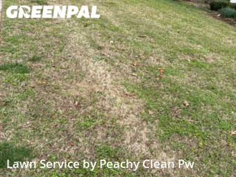 Grass Cutting nearby Hiram, GA, 