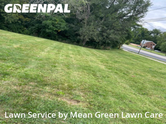 Lawn Mowing nearby Raytown, MO, 