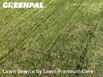 Grass Cut nearby Omaha, NE, 