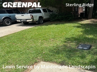 Lawn Mowin The Woodlands,77382,Lawn Cutting by Maldonado Landscapin, work completed in Jun , 2026