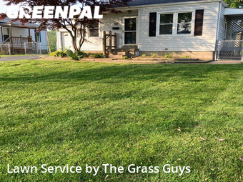 Lawn Maintenance nearby Florissant, IL, 